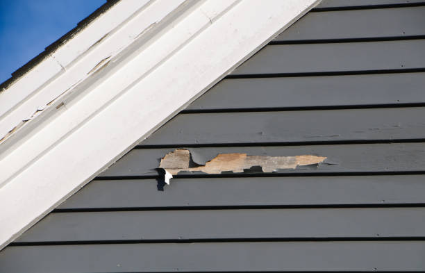Best Garage Cleanout  in Arcola, IL